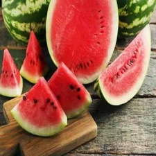 50 Jubilee Watermelon Seeds. USA Seeds. Organic. Ships free