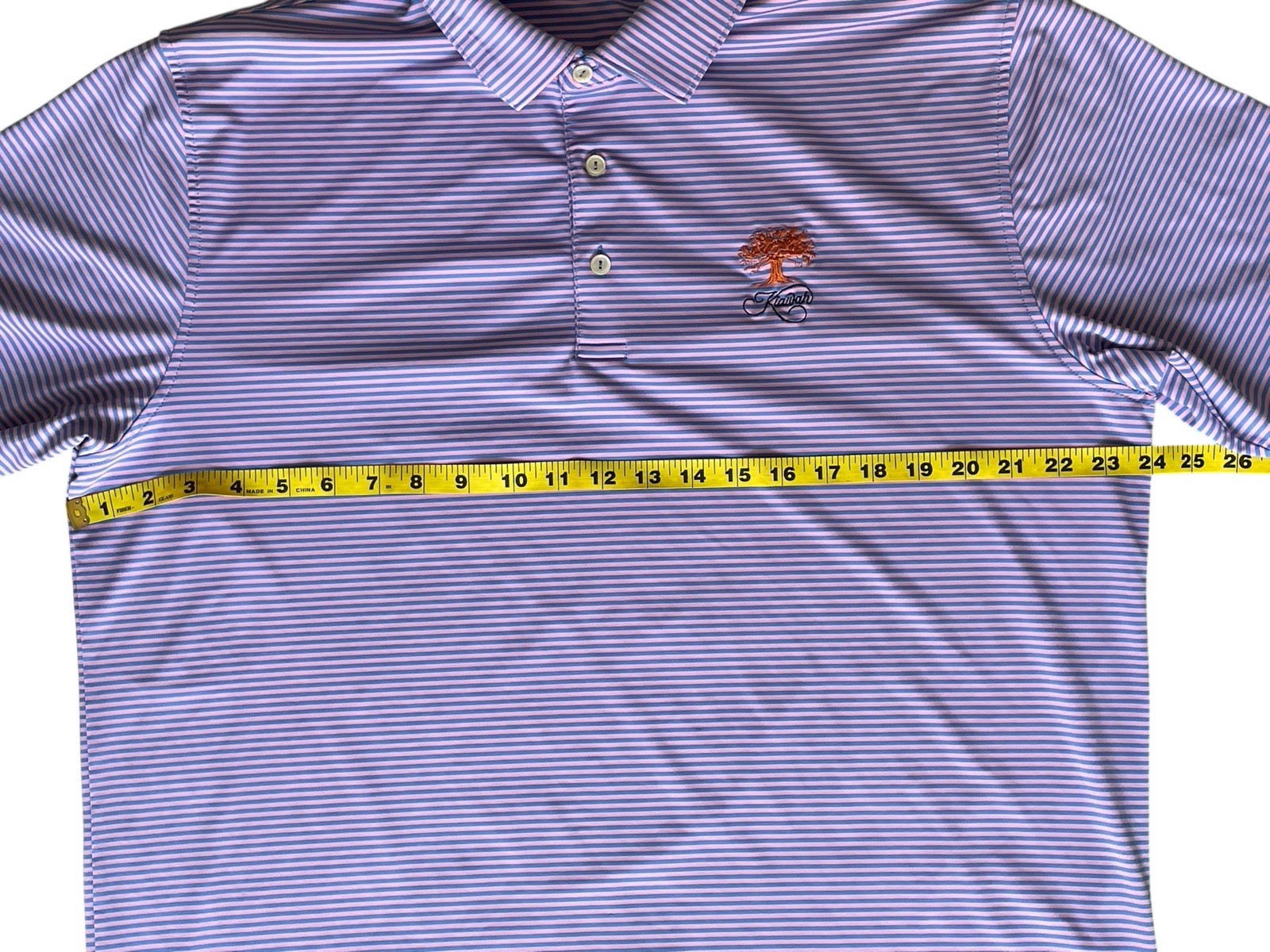 Picture 10 of 12