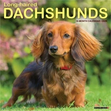 Longhaired Dachshunds 12 X 12 Wall Calendar (Bookbook - Detail Unspecified)