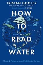 How to Read Water Clues & Patterns from Puddles to the Sea