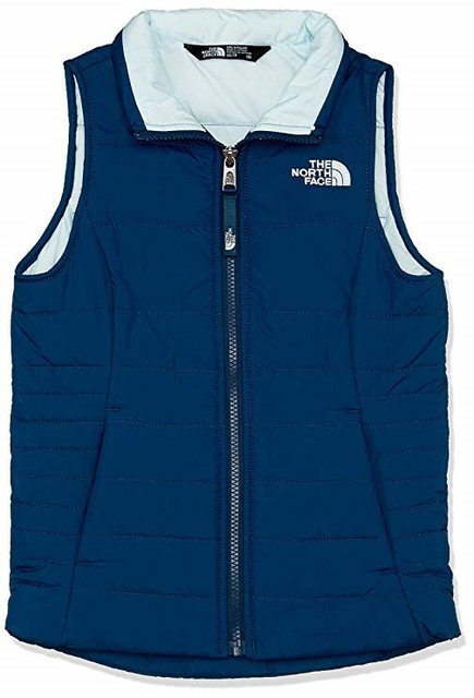 the north face harway vest