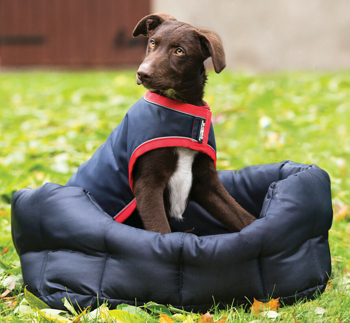 Horseware Rambo Dog Rug Waterproof 100g Removable Liner Navy Reflective