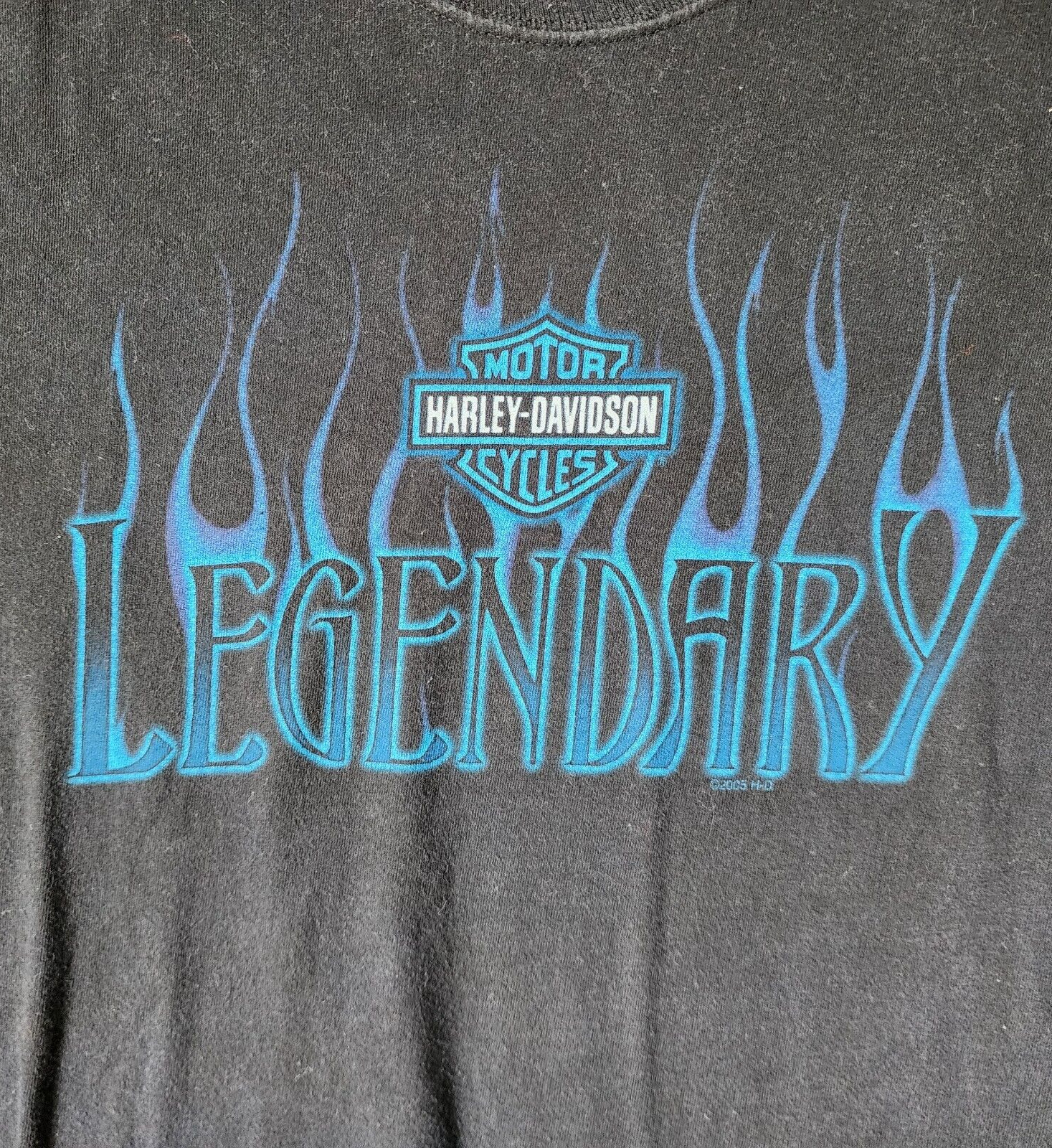 VTG 2005 Harley Davidson Roanoke Rapids NC Blue Flames Graphic T Shirt Size XL image 5