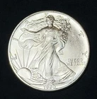 1990 American Silver Eagle 1 Oz .999 Fine Coin, No Reserve #307