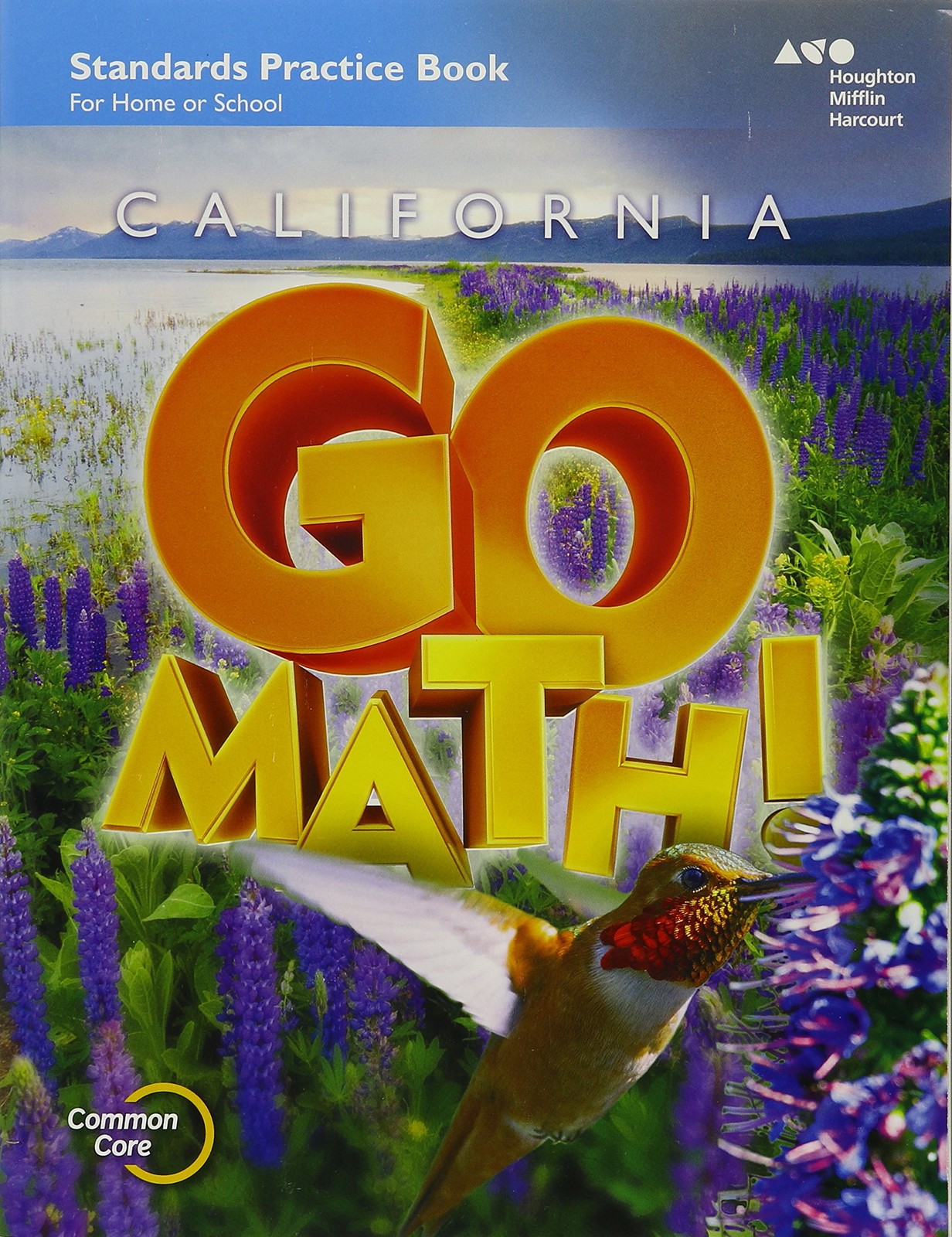 Practice Workbook Grade 4 (Houghton Mifflin Harcourt Go Math ...