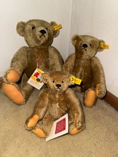 Three - Steiff Museum Teddy Bears - Blonde Mohair 1904 Replica