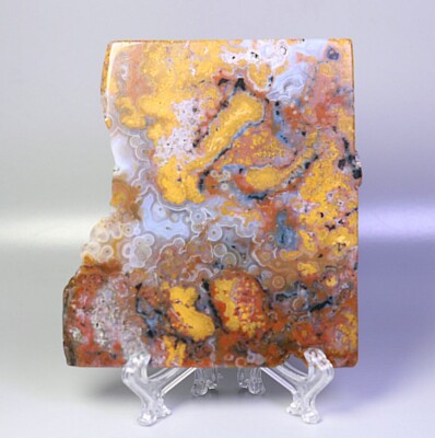 Natural Ocean Jasper Agate Eye Quartz Crystal Stone Slice Mineral Specimen Stand