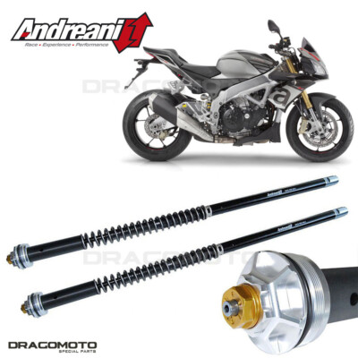 APRILIA Tuono 1100 V4 RR 2015-2020 cartridge ANDREANI 105/A13E MISANO EVO