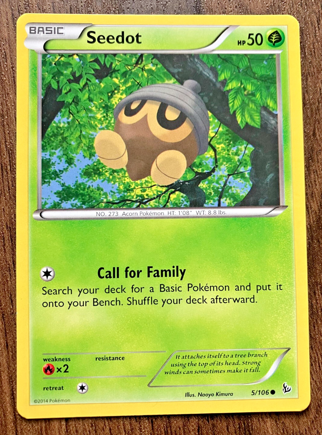 Seedot 5/106 - 2014 Pokemon Flashfire Common Card - CLEAN  NM