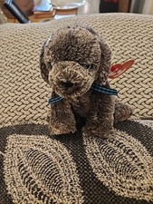 Ty Beanie Baby Frisbee The Dog DOB June 29 2001 Mint Condition