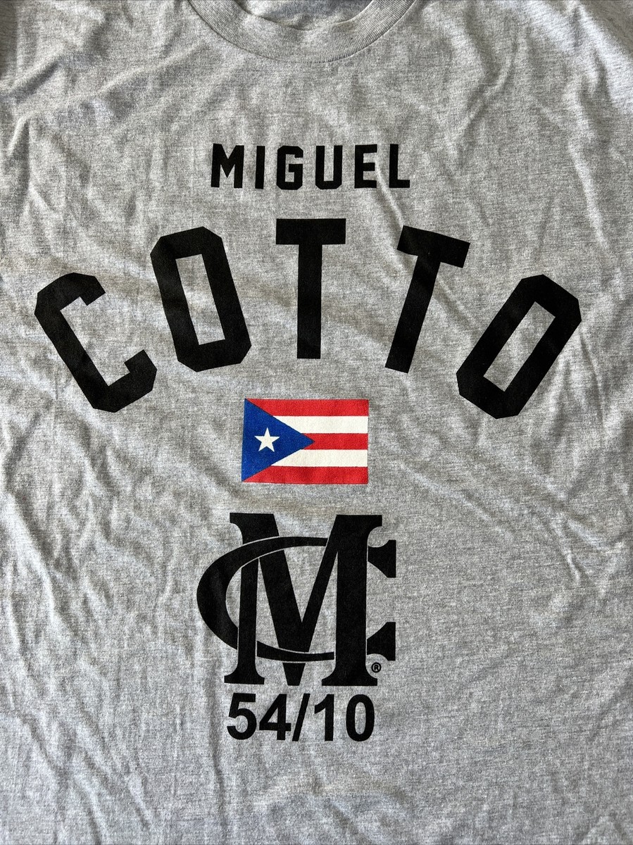 激レア　Champion BOXING Tシャツ サイズL 激レア Champion BOXING Tシャツ サイズL