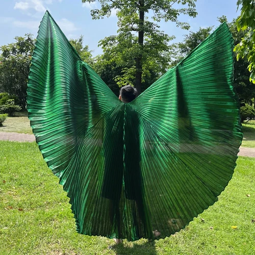 Transparent Belly Dance Wings Stage Performance Dancing Props - Picture 13 of 42