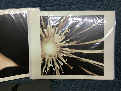 Southern Living at Home Melissa Springer Blooms Black & White Flower Prints NIB - 第 3/10 張圖片