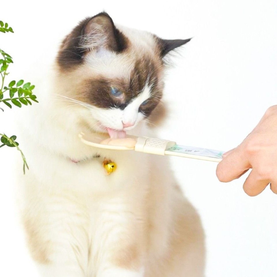 Cute Cat Feed Spoon Squeeze Pet Feeder Durable Kitten Strip Feeding