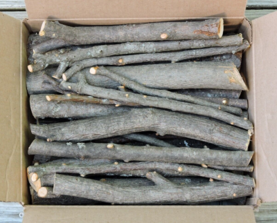 Apple Wood Sticks Logs for BBQ Smoking Grilling Crafts 1/2-2