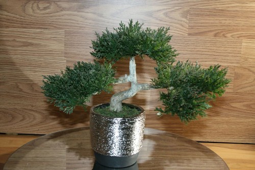Bonsai Faux Japanese Pine Fake Tree 10x12x6" Never Dies Cool Home Decor