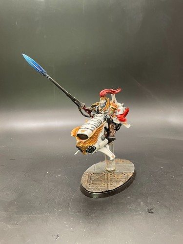 Warhammer 40K - Adeptus Custodes - Bemalt - Telemon, Sisters, Vertus Praetor - Bild 4 von 8