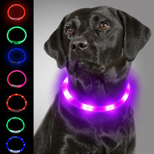 LED Dog Collar USB Rechargeable Light Up Pet Collar Night Safety