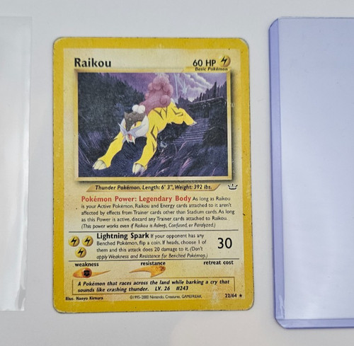 Raikou (22) — Neo Revelation