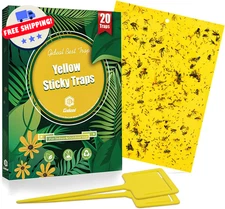 Sticky Traps for Flys Indoor Outdoor Gnats, Plant Pests, 12 - 50 Pack Yellow