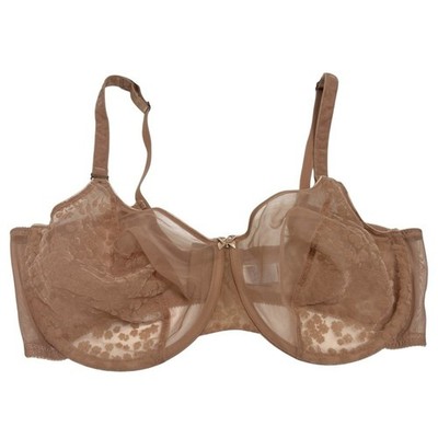 Parisa Bra Full Coverage 47833 Mesh Bra Sz 40DD