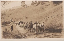 10 Horse Carriage Pulling A Tanker? Old Car 1910s RPPC Photo Postcard