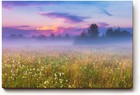Sinus Art Wandbild Morgennebel über farbiger Wildblumenwiese – ideal für