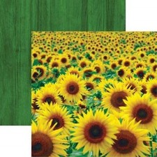Sunflower Field - Wildflowers 12x12 Scrapbooking Paper - 5 Sheets