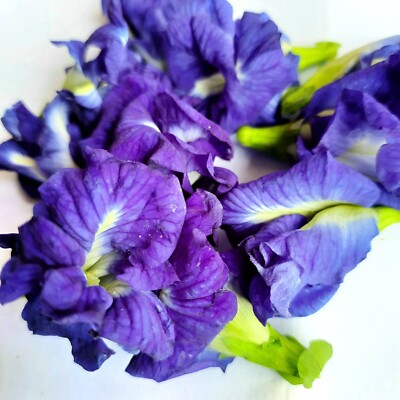 Dried BUTTERFLY PEA 100+ FLOWERS Ayurveda Tea Blue NIL KATAROLU Healthy Drin