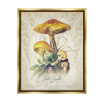 German Scientific Study Framed Floater Canvas Wall Art, Design by Steve Hunziker