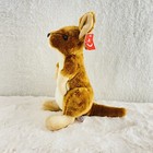 Bild 9 von 9