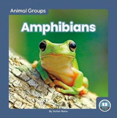 Dalton Rains Amphibians (Taschenbuch) Animal Groups
