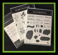 Stampin Up  HELLO BEAUTIFUL  FRAMED OCCASIONS Stamp Sets BEAUTIFUL SHAPE Dies