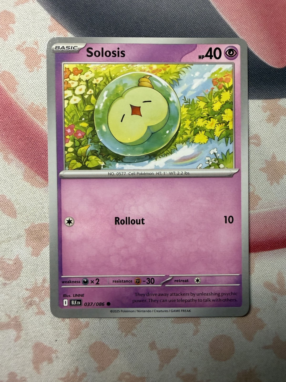 Solosis Common SV: Black Bolt 037/086 NM English Pokemon Card