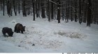 Foto 14 di 16