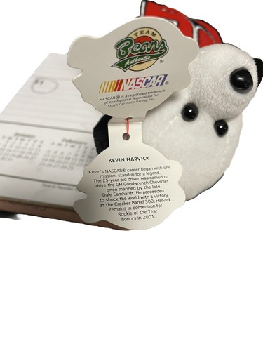 KEVIN HARVICK TEAM SPEED BEAR - Foto 6 di 6