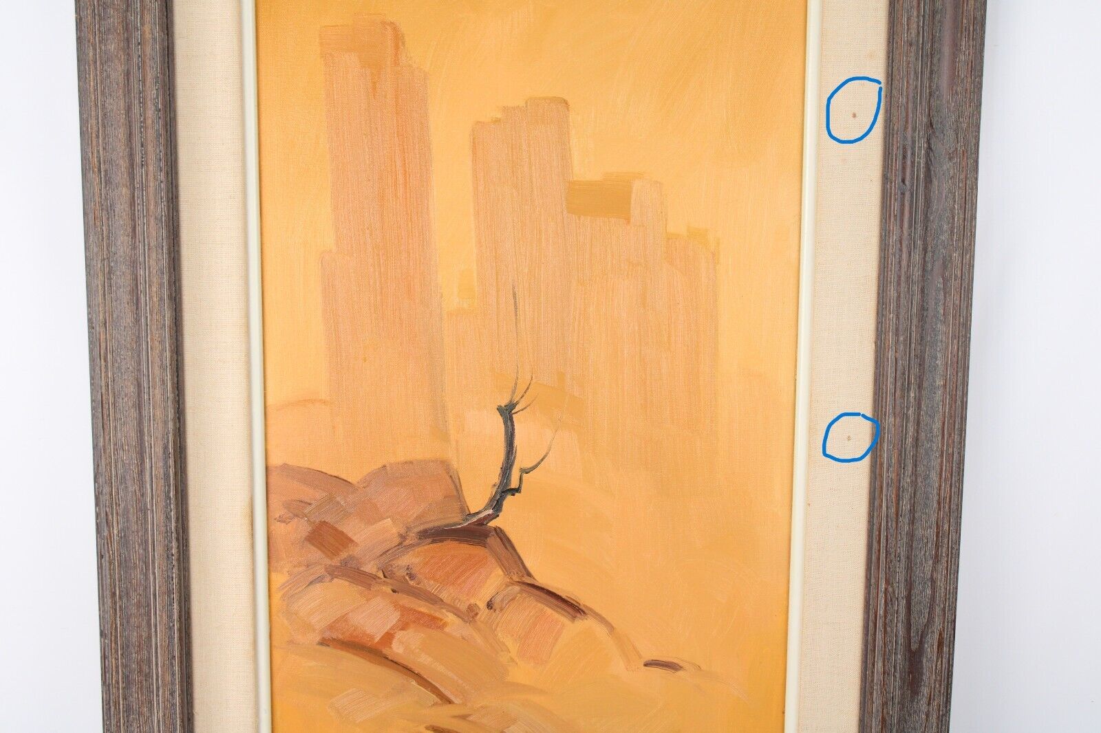 Picture 4 of 14