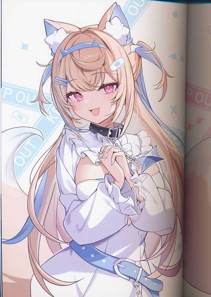 Fuwamoco Days 2 Hololive Art Book Icomochi Full Color Illustration