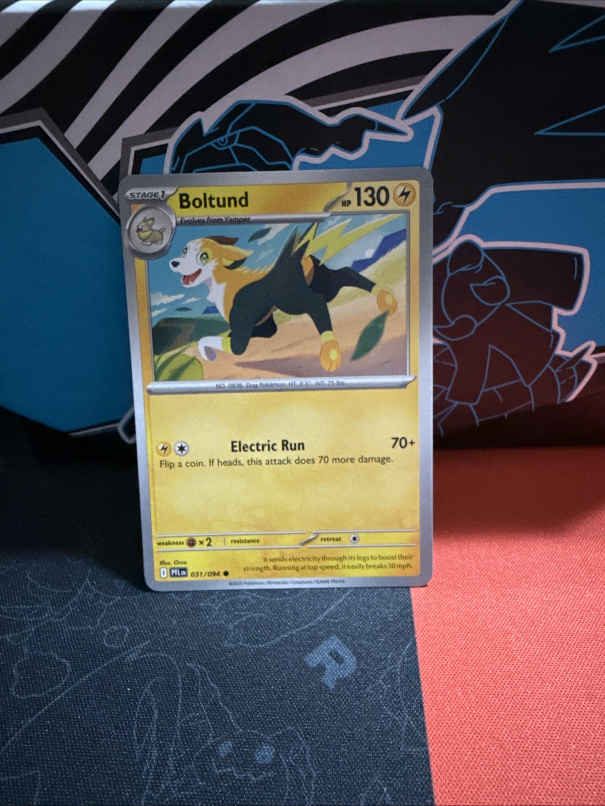 Pokemon TCG ME02: Phantasmal Flames Boltund 031/094