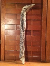 Beautiful 20" DRIFTWOOD Piece Art Terrarium Taxidermy Aquarium Beach Wood DECOR