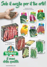 SEMI SEMENTI SELEZIONATE PER  ORTO VASO BUSTINE BIG PACK l'ORTOLANO
