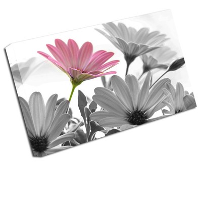 Pink Flower Canvas Art Print Floral Colour Splash Wall Art Flo32