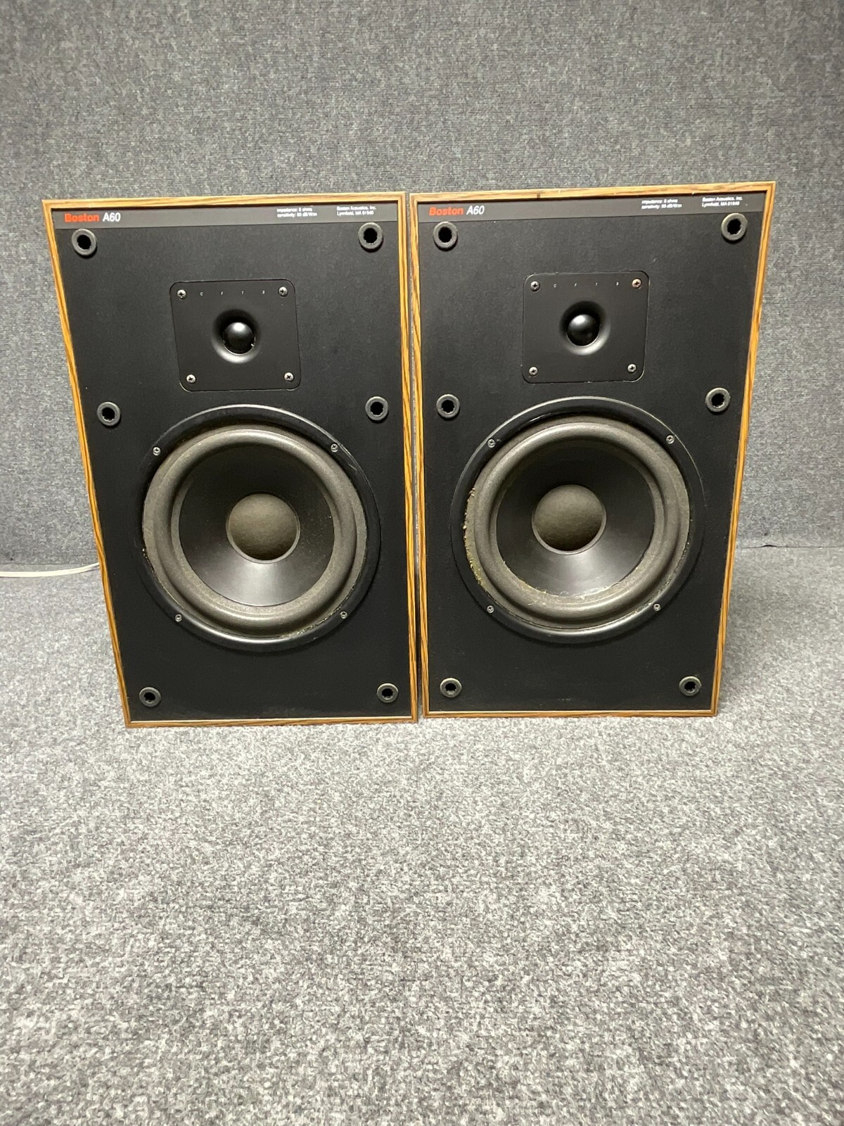 Picture 4 of 19
