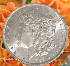 1884 O Morgan Silver Dollar $1 UNCIRCULATED, Pulled From Storage Fast Ship 🚢 