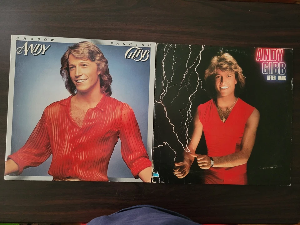 Andy Gibb - Shadow Dancing + After Dark - Pop Rock Disco VG+ 2LP Vinyl Rec Set Foto 2 de 4