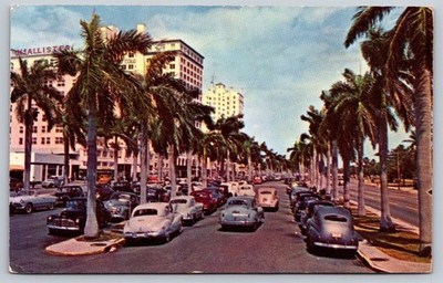 Vintage 1951 Miami Florida Postcard Biscayne Blvd Avenue of Royal Palms Posted