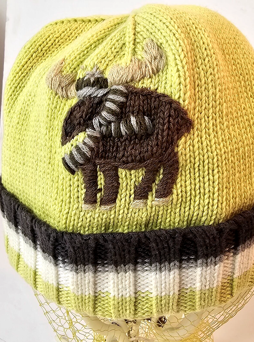 Janie & Jack Moose Embroidered Cuffed Beanie Unisex Winter Hat 6