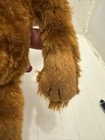 Foto 13 di 24