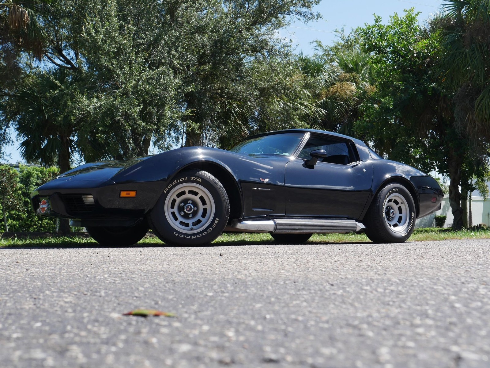 1979 Other Chevrolet Corvette Coupe  | C3 Corvette Photo 7