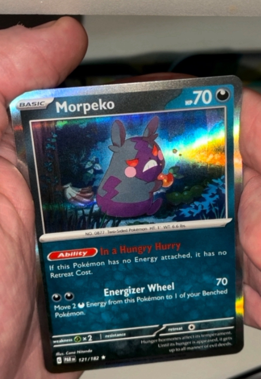 Pokemon Cards Morpeko 121/182 Paradox Rift Reverse Holo Mint Condition Card